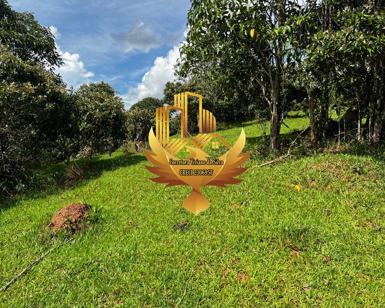 Terreno, 2 hectares - Foto 3