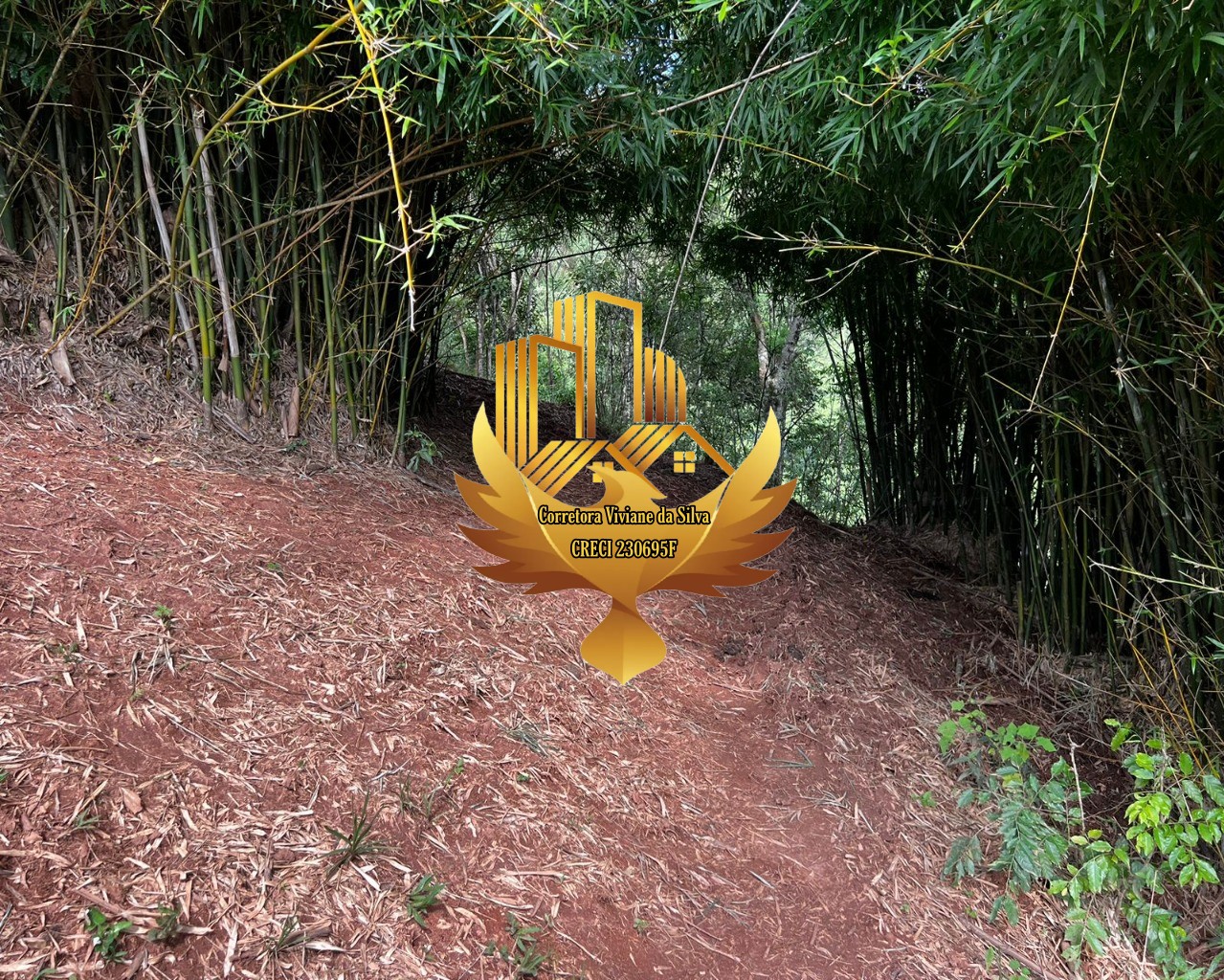 Terreno, 2 hectares - Foto 9