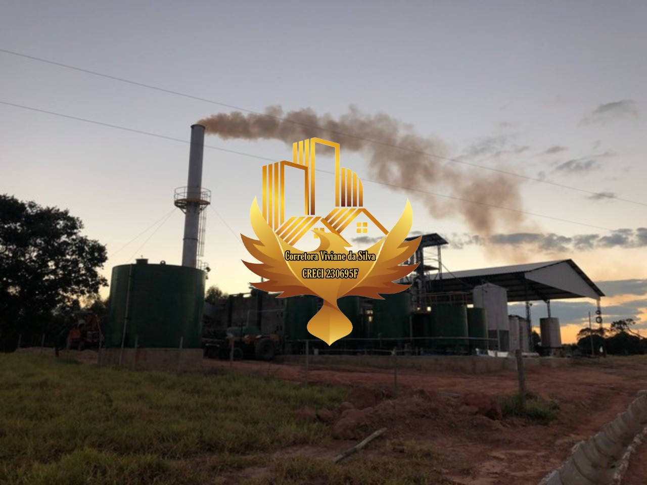 Fazenda, 28 hectares - Foto 6