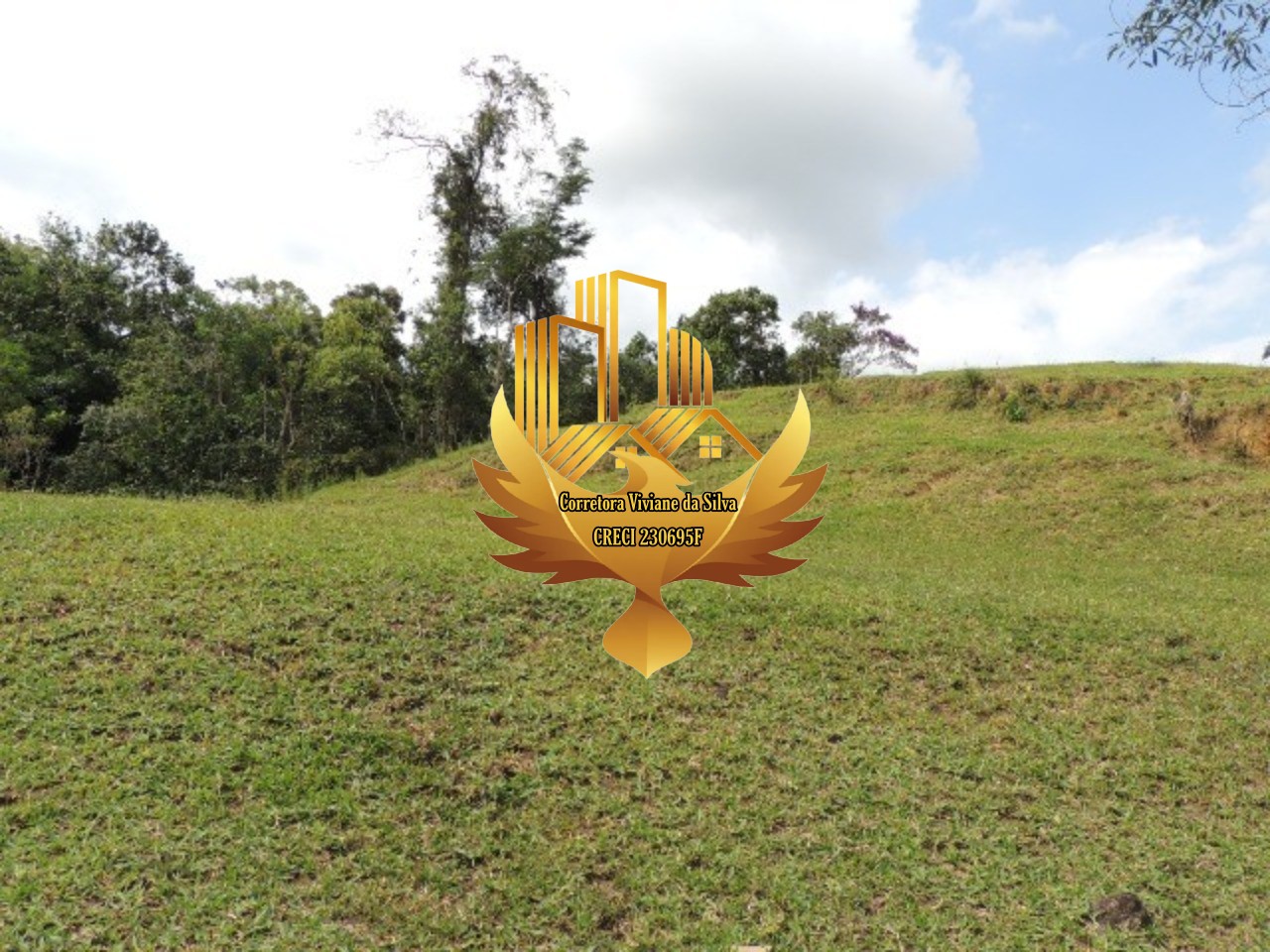 Fazenda à venda com 3 quartos, 47000m² - Foto 14