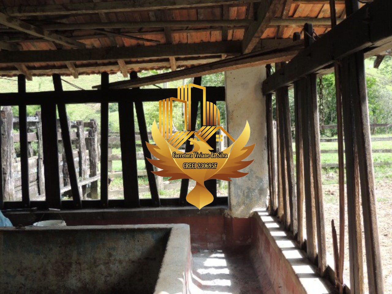 Fazenda à venda com 3 quartos, 47000m² - Foto 11