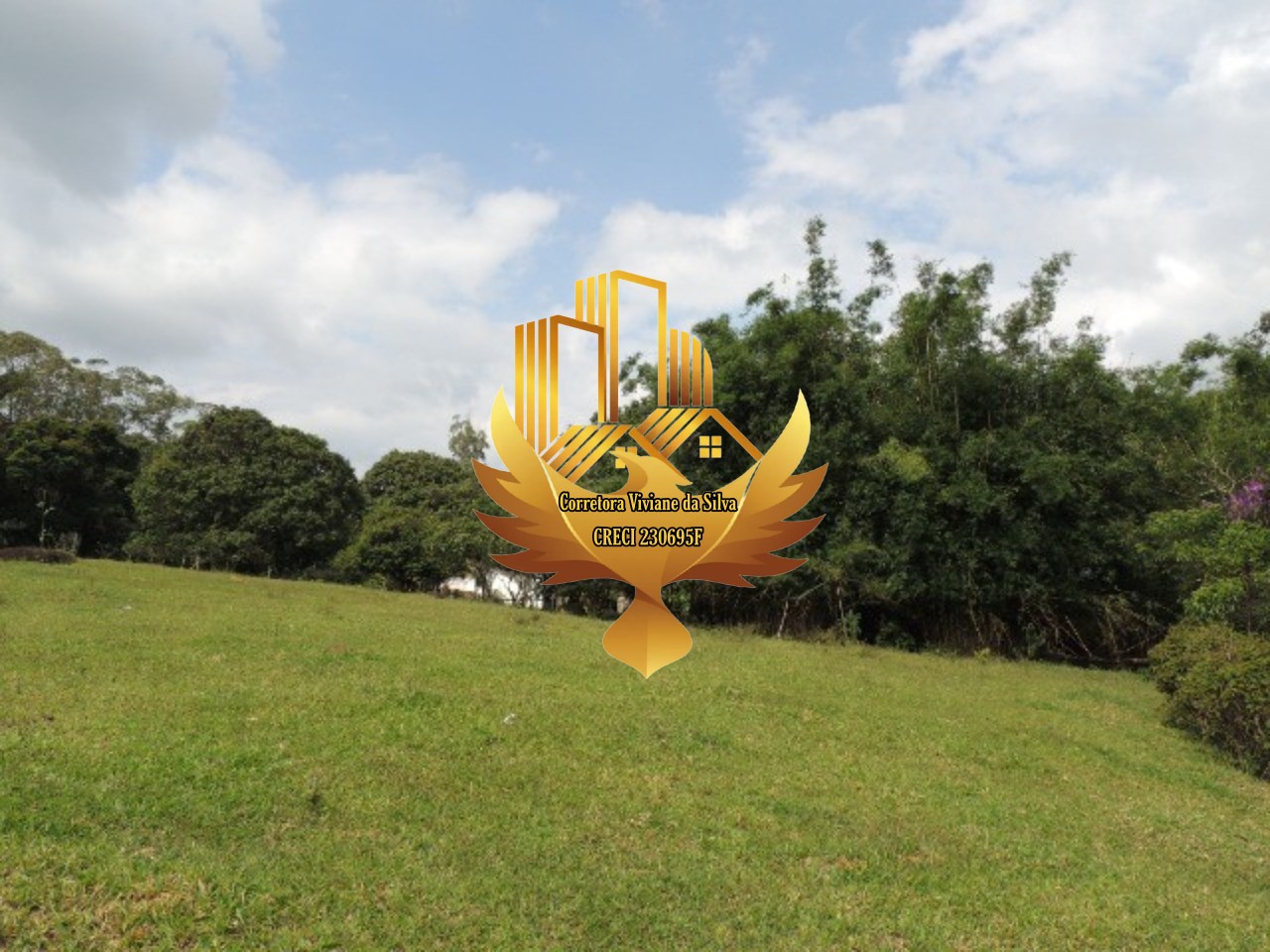 Fazenda à venda com 3 quartos, 47000m² - Foto 12