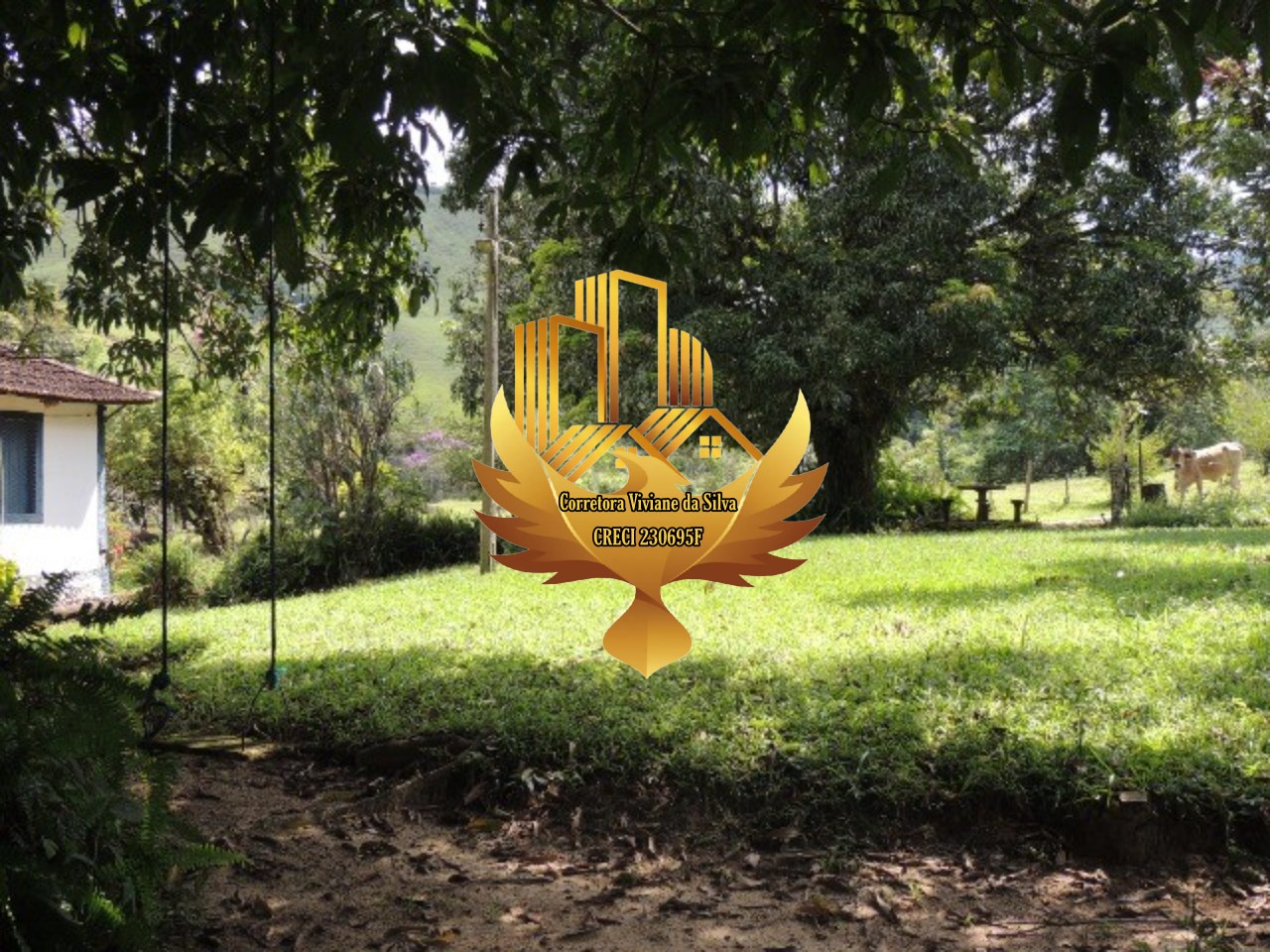 Fazenda à venda com 3 quartos, 47000m² - Foto 18