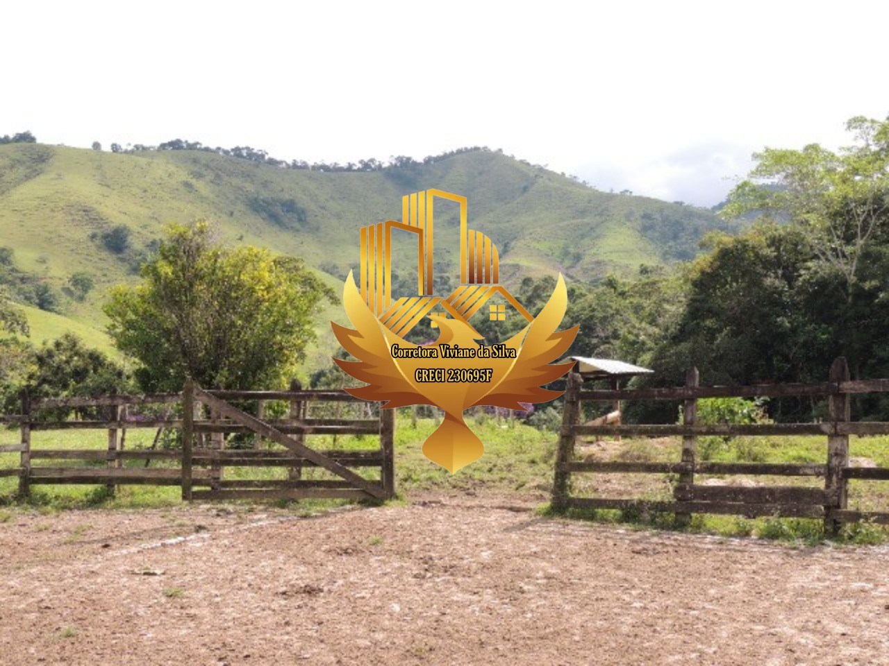 Fazenda à venda com 3 quartos, 47000m² - Foto 13