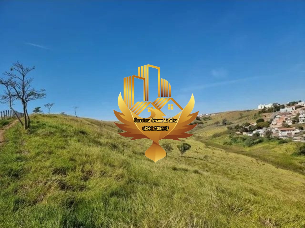 Terreno, 12 hectares - Foto 5