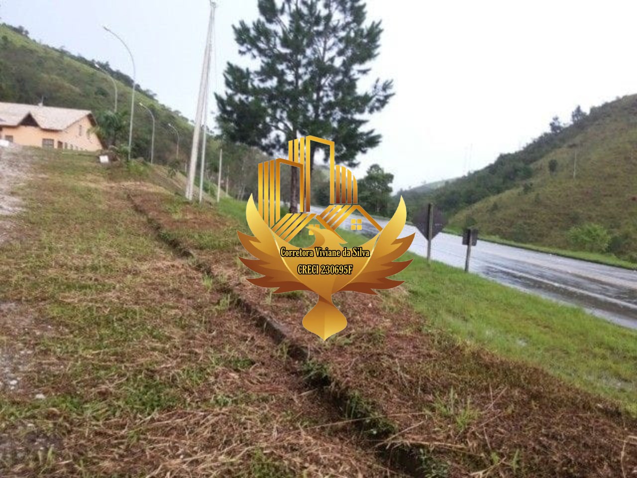 Sítio à venda - Foto 14