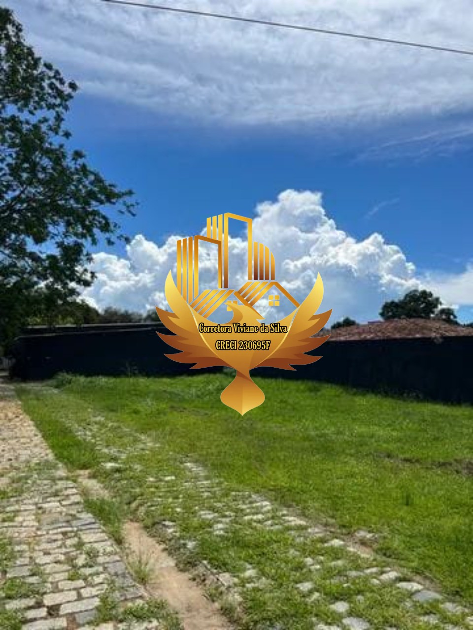 Chácara à venda com 3 quartos - Foto 4