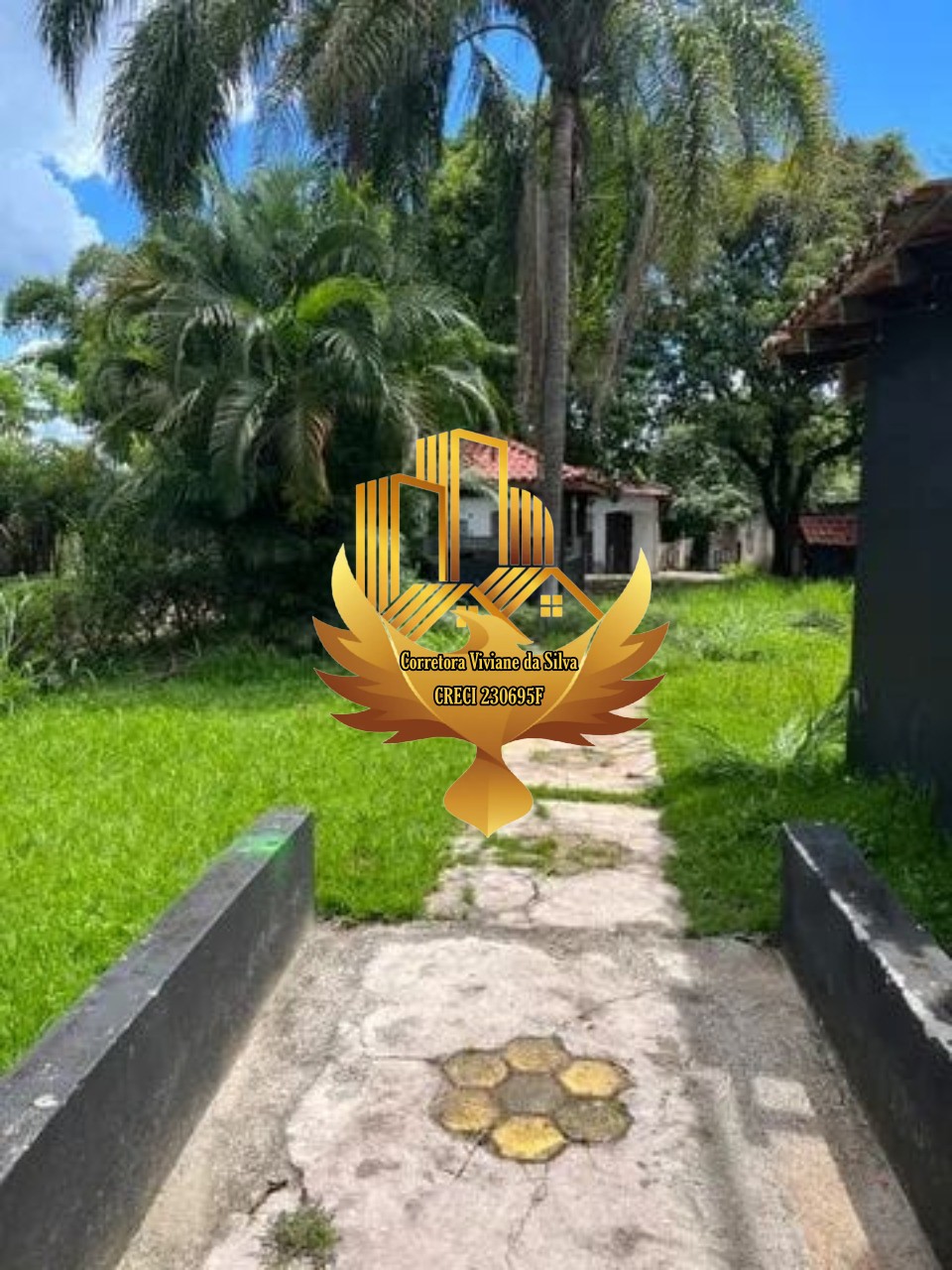 Chácara à venda com 3 quartos - Foto 3