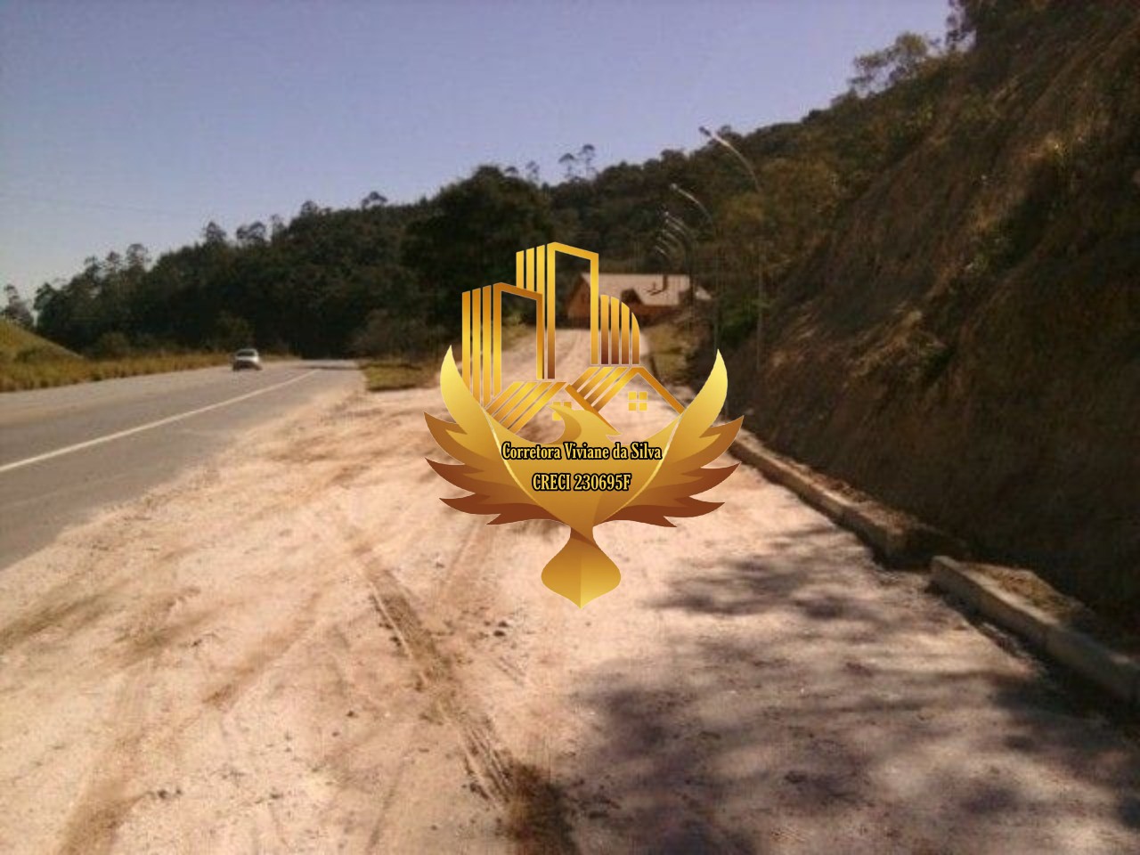 Sítio à venda - Foto 6