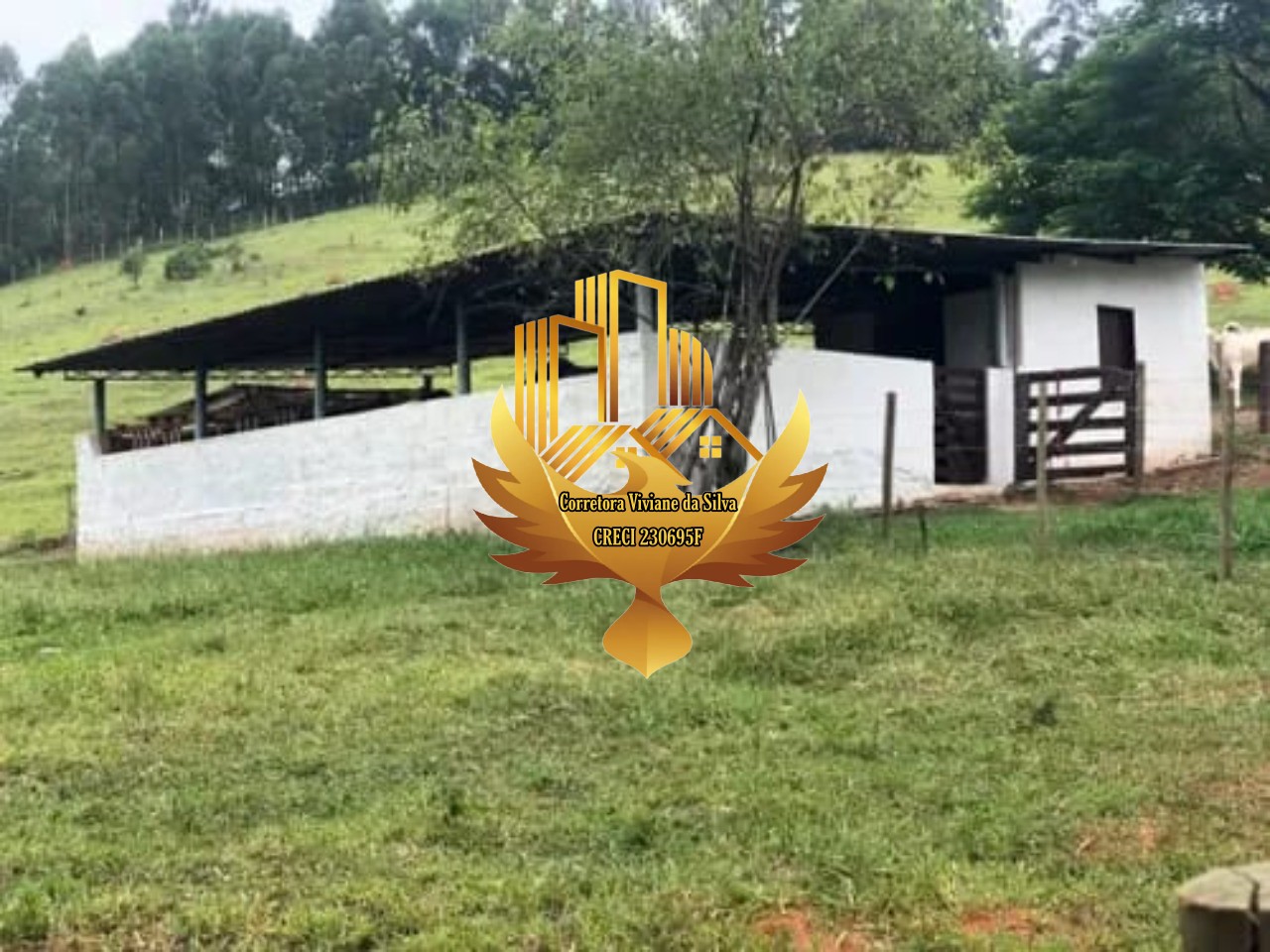Sítio à venda com 3 quartos, 20320m² - Foto 5