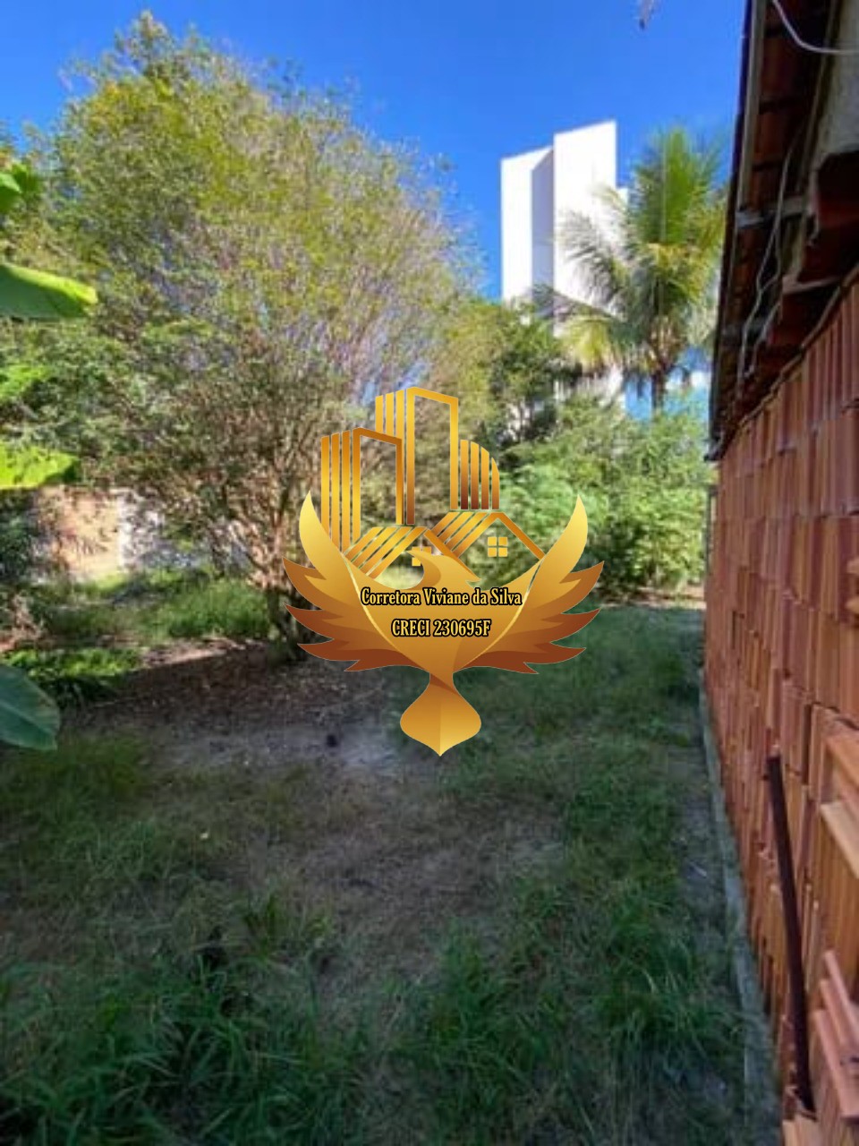 Casa, 7 quartos - Foto 4