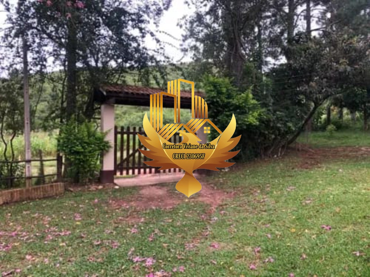 Sítio à venda com 3 quartos, 20320m² - Foto 16