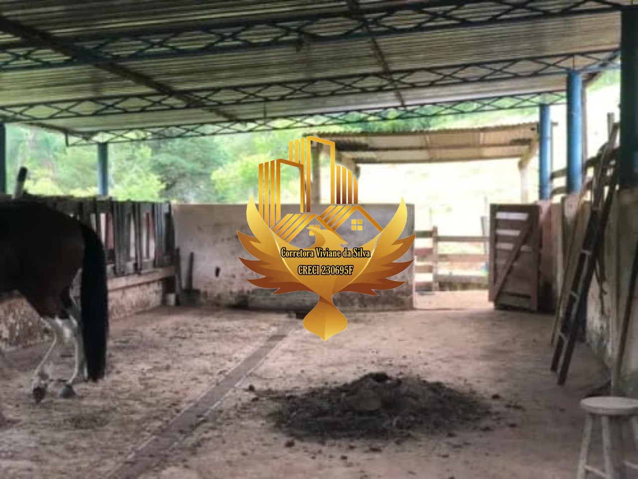 Sítio à venda com 3 quartos, 20320m² - Foto 6