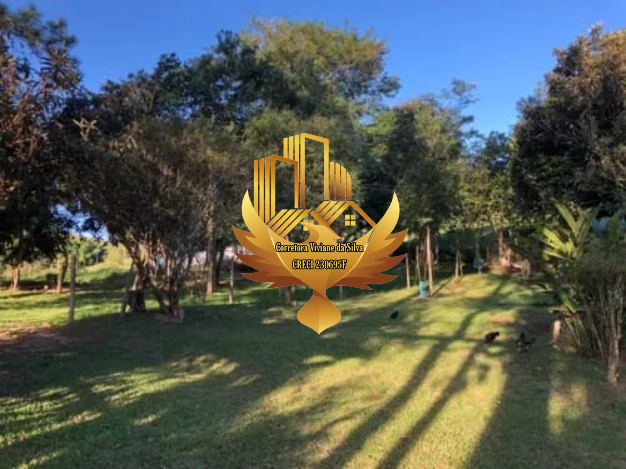 Sítio à venda com 3 quartos, 20320m² - Foto 11