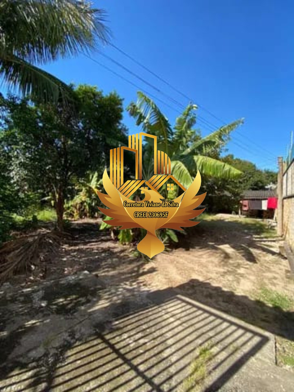 Casa, 7 quartos - Foto 6