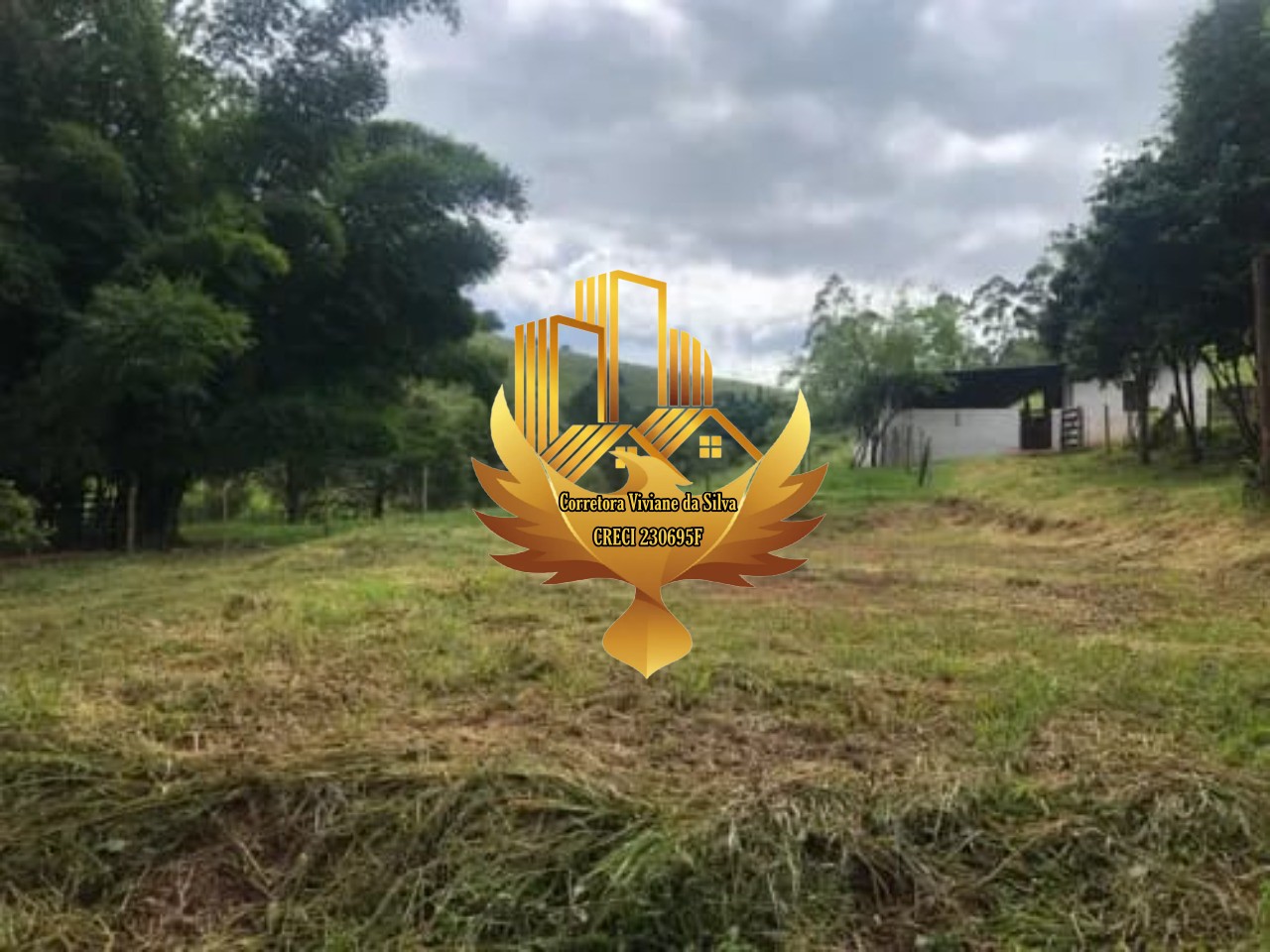 Sítio à venda com 3 quartos, 20320m² - Foto 15
