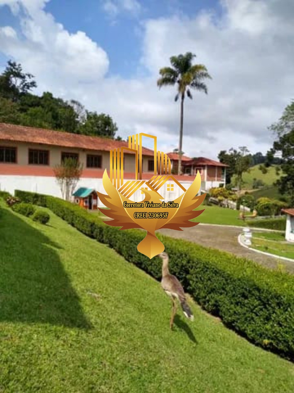 Sítio à venda com 7 quartos, 196800m² - Foto 27