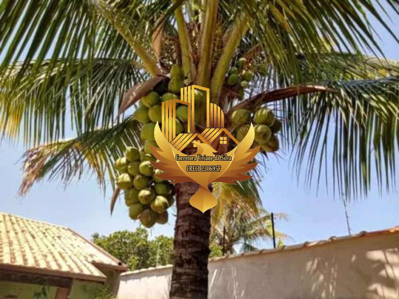 Casa, 2 quartos - Foto 17