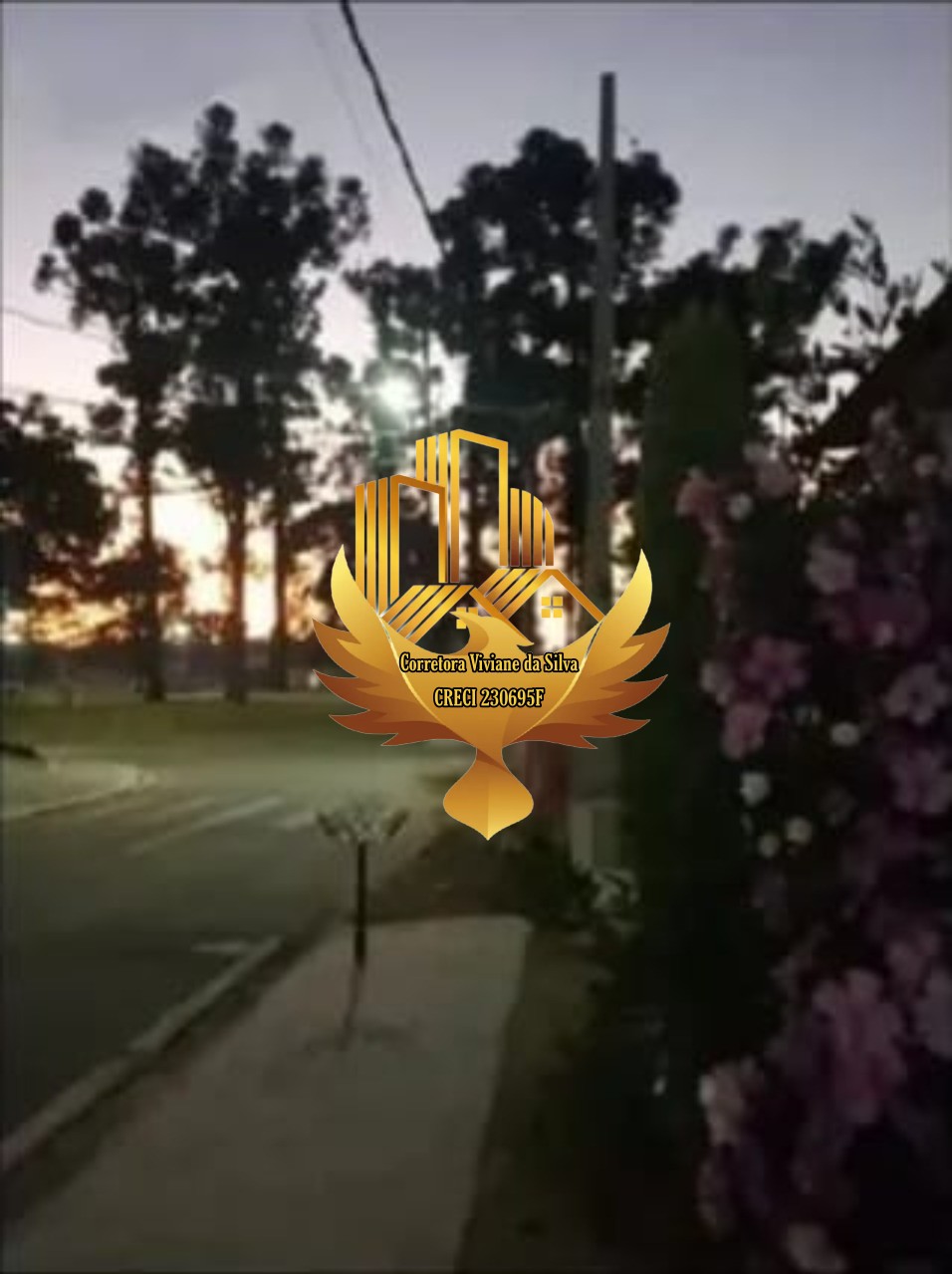 Terreno, 300 m² - Foto 6