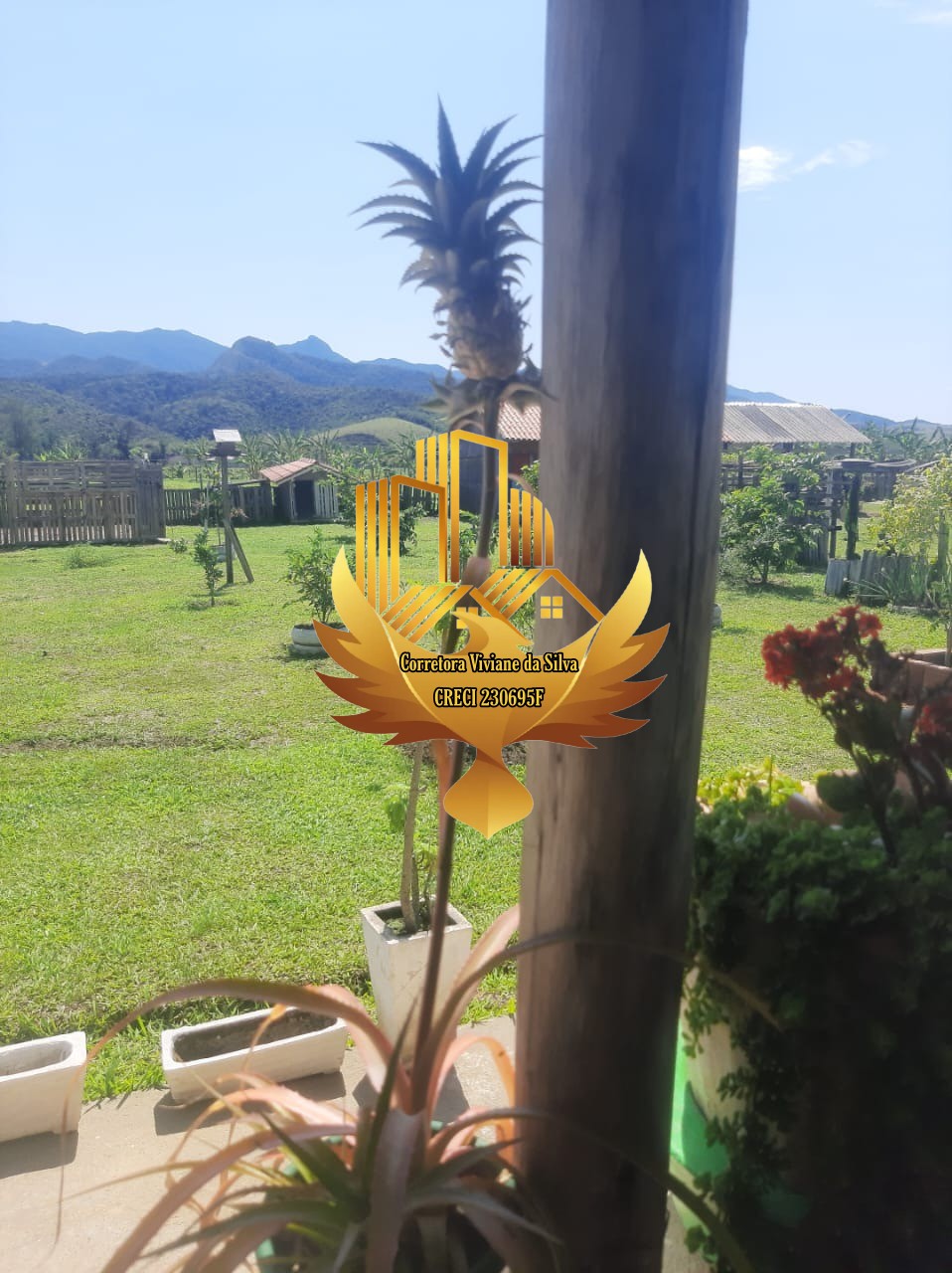 Chácara à venda com 2 quartos, 24200m² - Foto 11