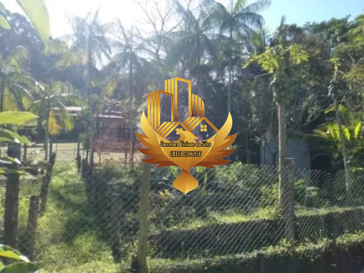 Chácara à venda com 3 quartos - Foto 10
