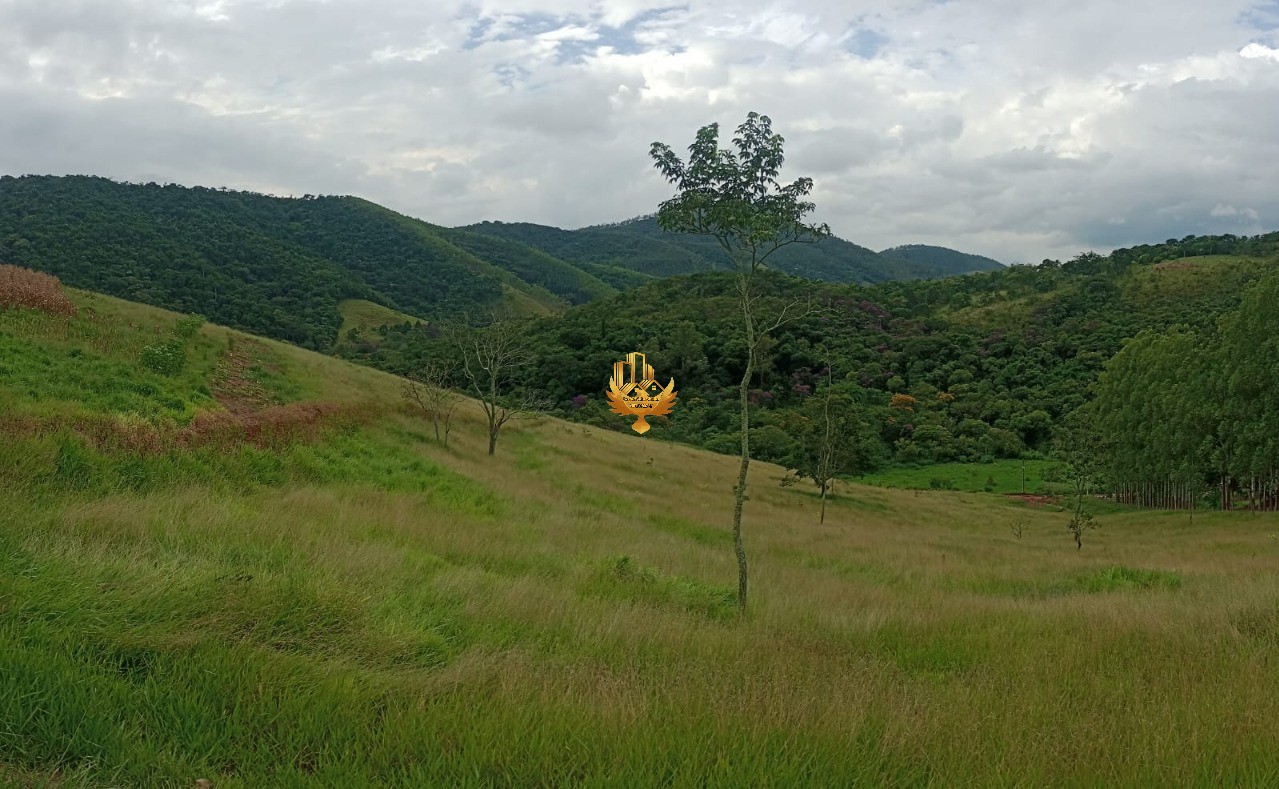 Haras e Área Rural Padrão à venda, 20000m² - Foto 4
