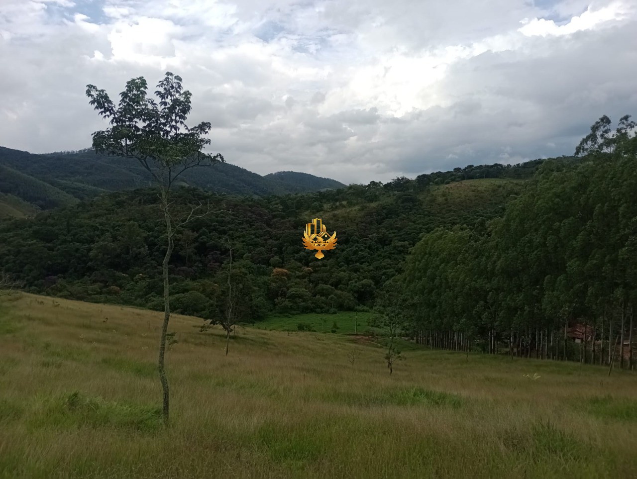 Haras e Área Rural Padrão à venda, 20000m² - Foto 12