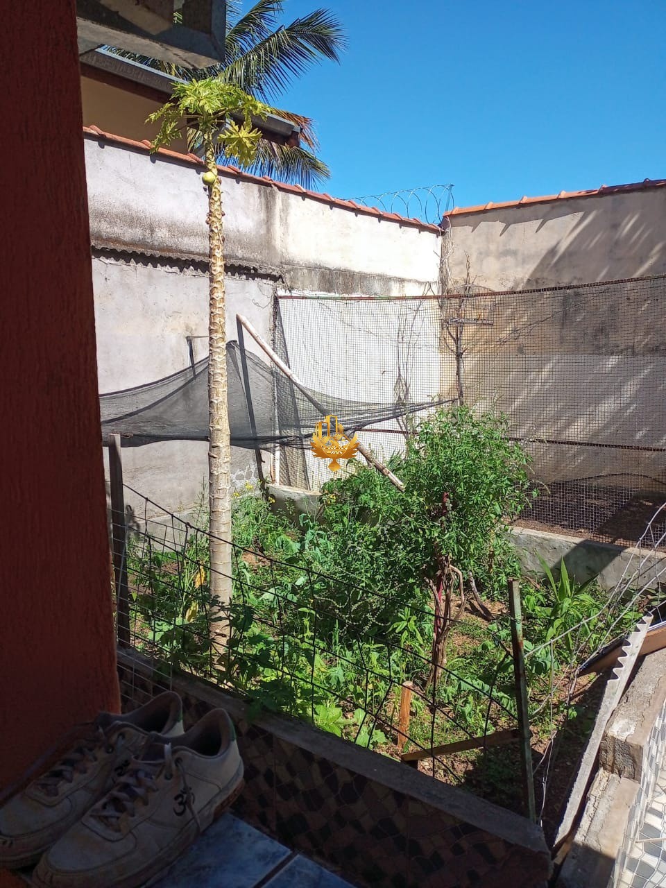 Casa à venda com 3 quartos - Foto 10