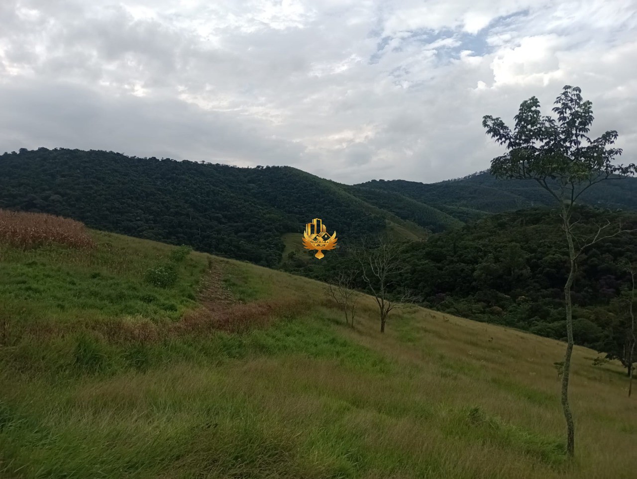 Haras e Área Rural Padrão à venda, 20000m² - Foto 6