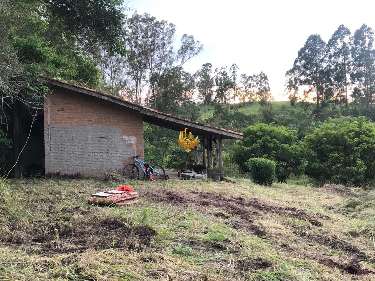 Sítio à venda com 1 quarto, 21400m² - Foto 8