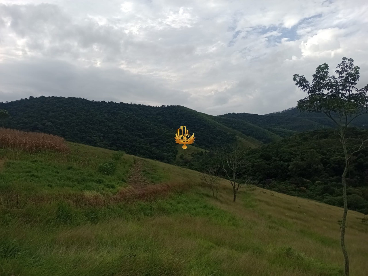 Haras e Área Rural Padrão à venda, 20000m² - Foto 8