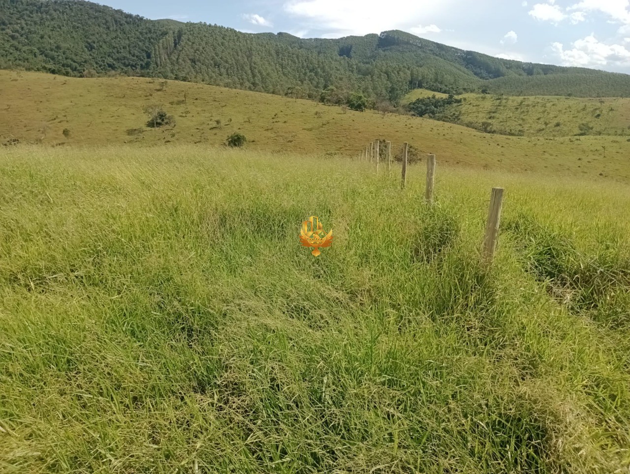 Haras e Área Rural Padrão à venda, 20000m² - Foto 3
