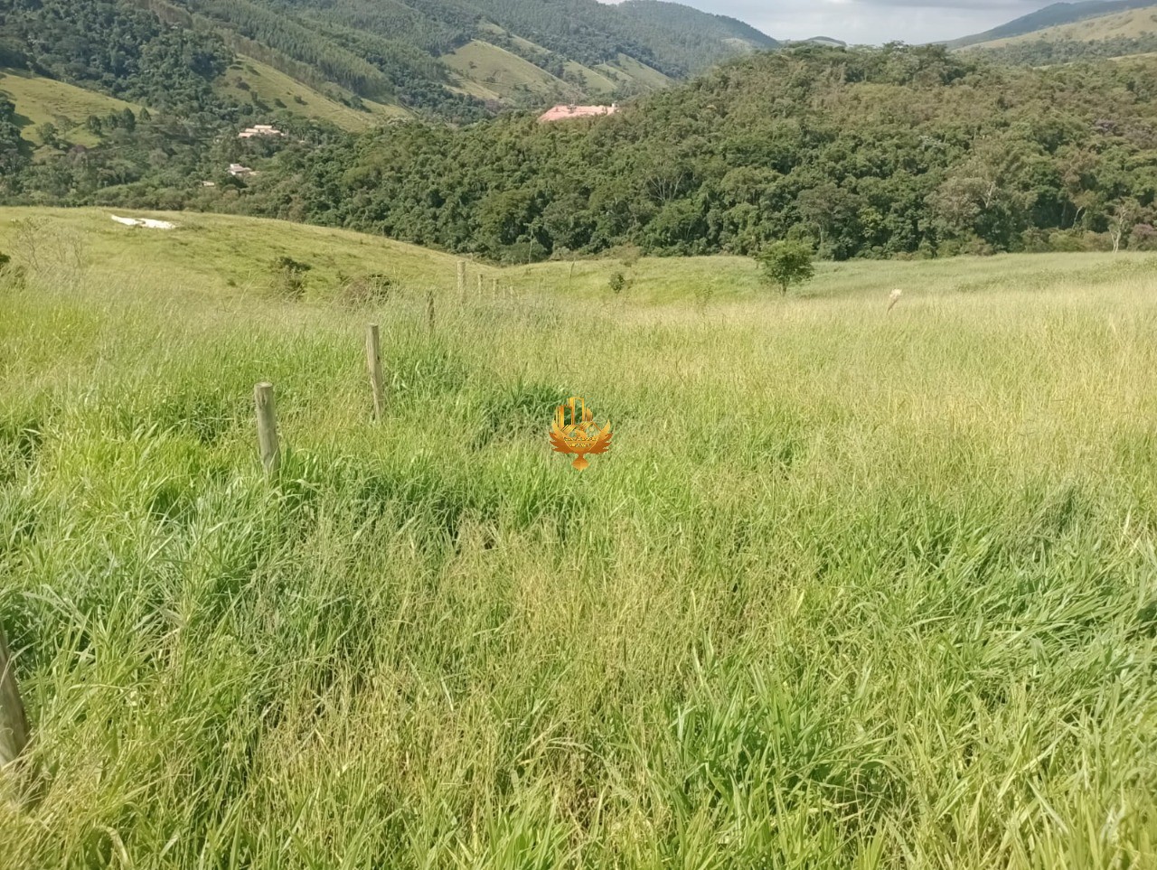 Haras e Área Rural Padrão à venda, 20000m² - Foto 13