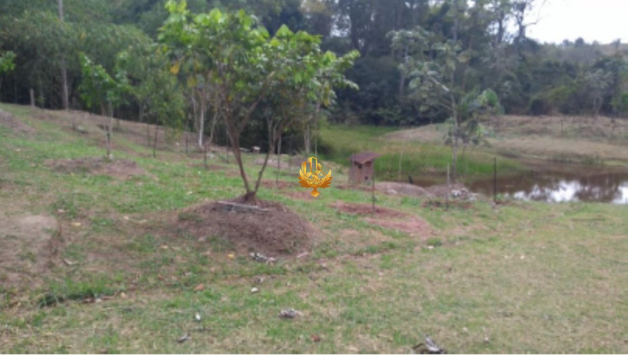 Sítio à venda com 1 quarto, 21400m² - Foto 5