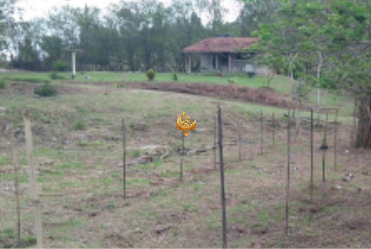 Sítio à venda com 1 quarto, 21400m² - Foto 6