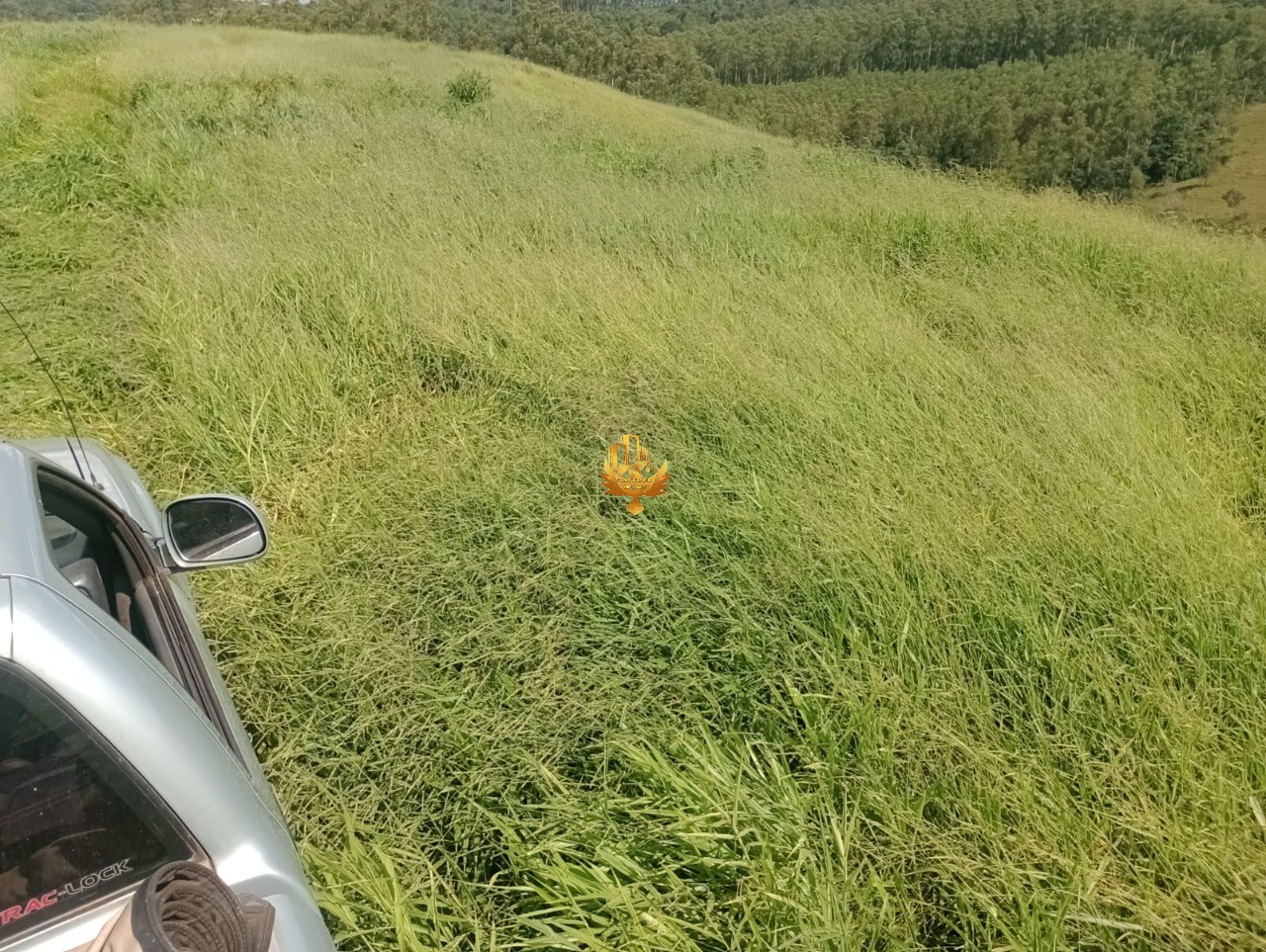Haras e Área Rural Padrão à venda, 20000m² - Foto 10