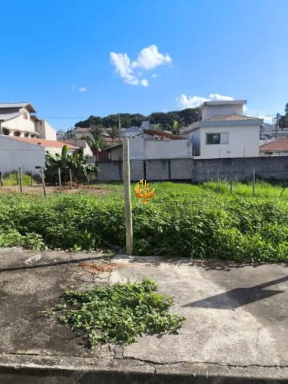 Terreno, 250 m² - Foto 4