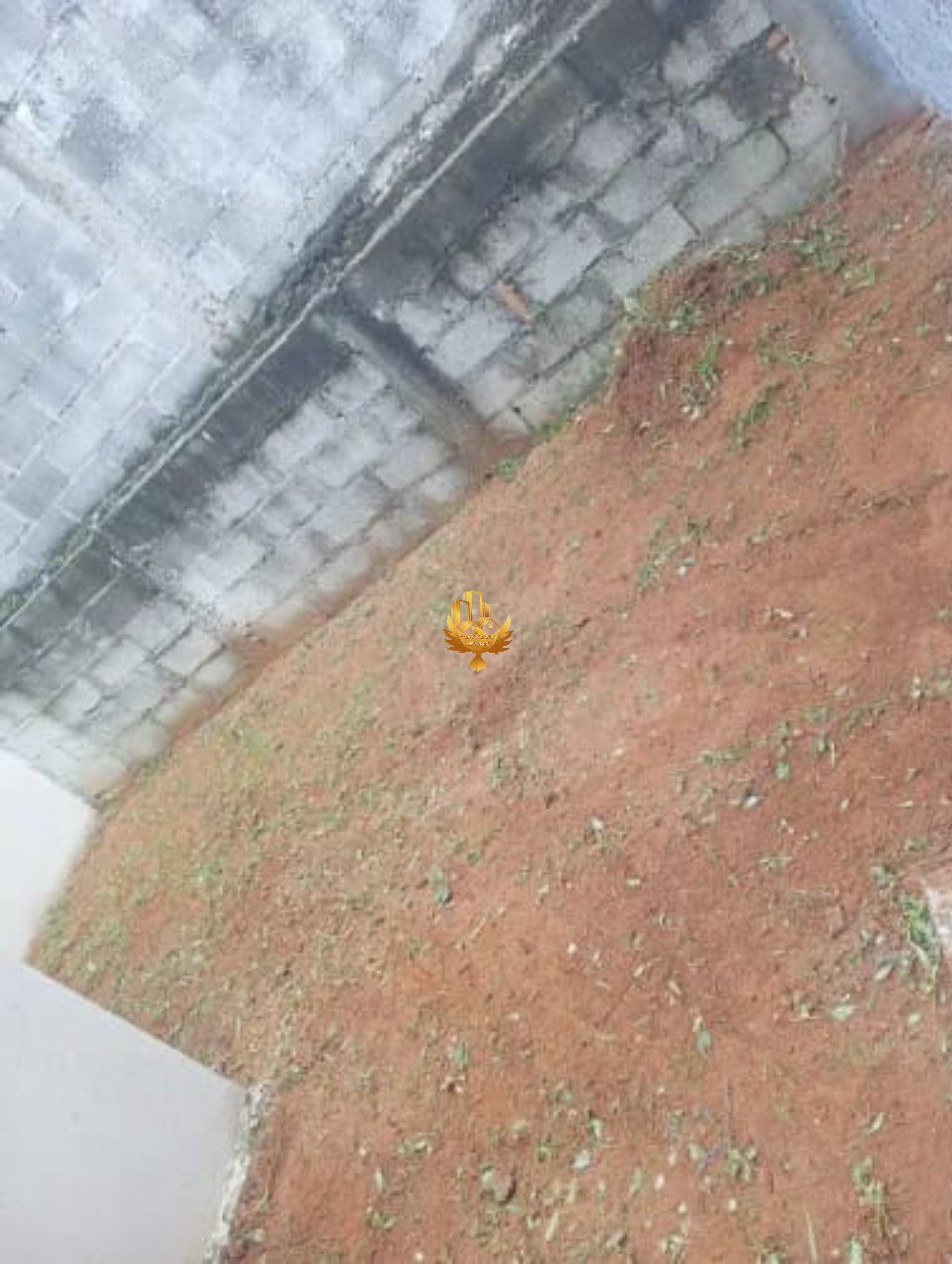 Casa, 3 quartos - Foto 17