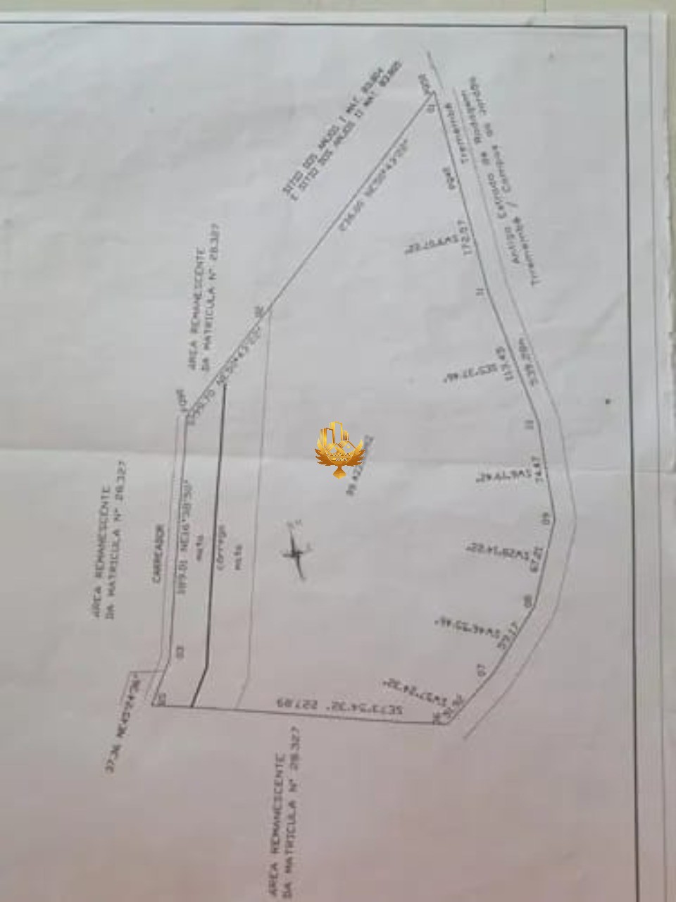 Terreno, 9942 hectares - Foto 2