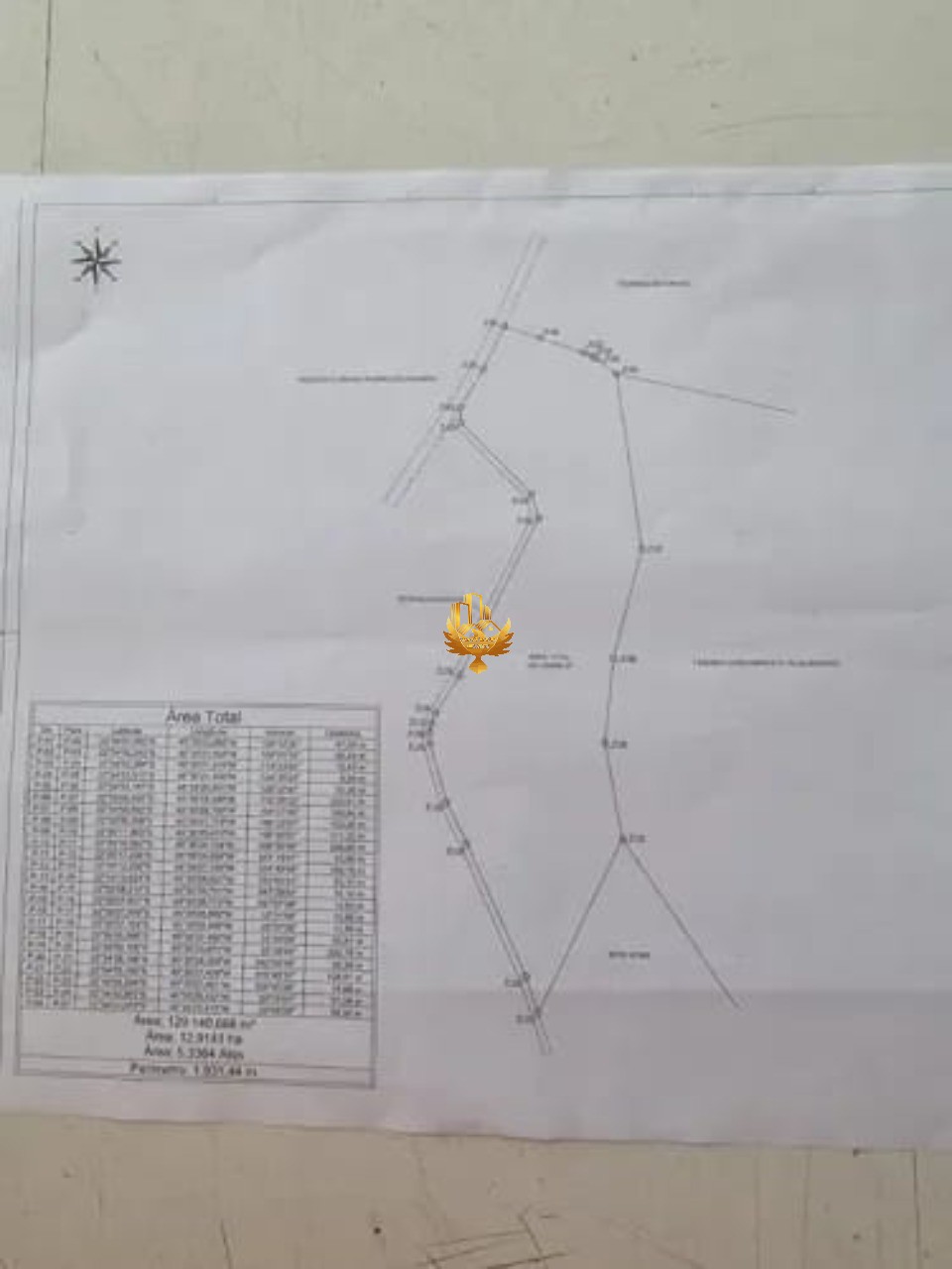Terreno, 9942 hectares - Foto 3