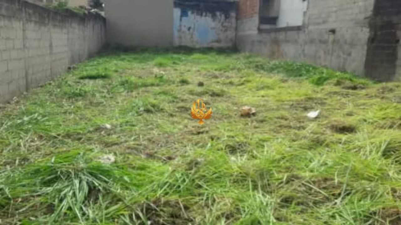 Terreno, 250 m² - Foto 2