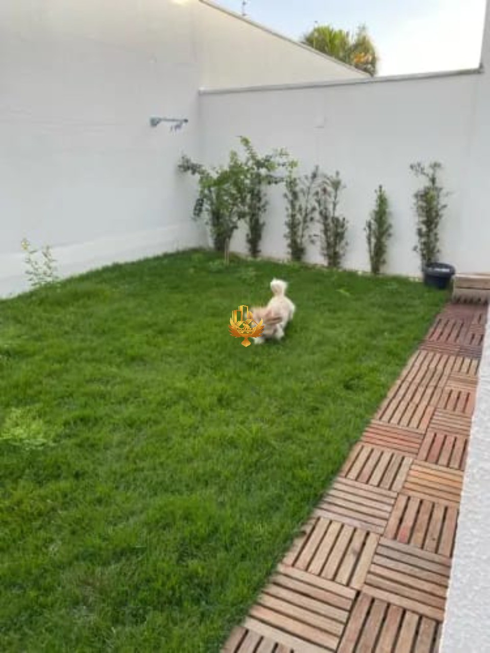 Casa, 3 quartos - Foto 19