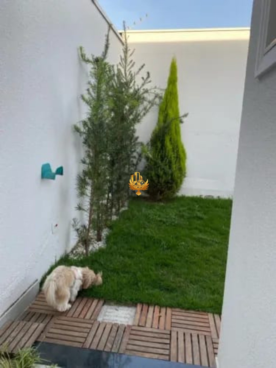 Casa, 3 quartos - Foto 17