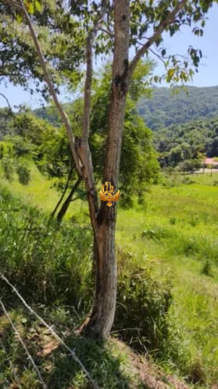 Terreno à venda, 6600m² - Foto 12