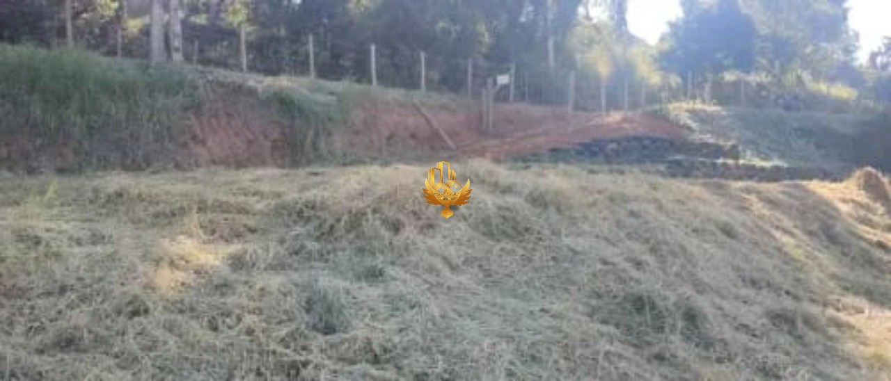 Terreno à venda, 6600m² - Foto 7