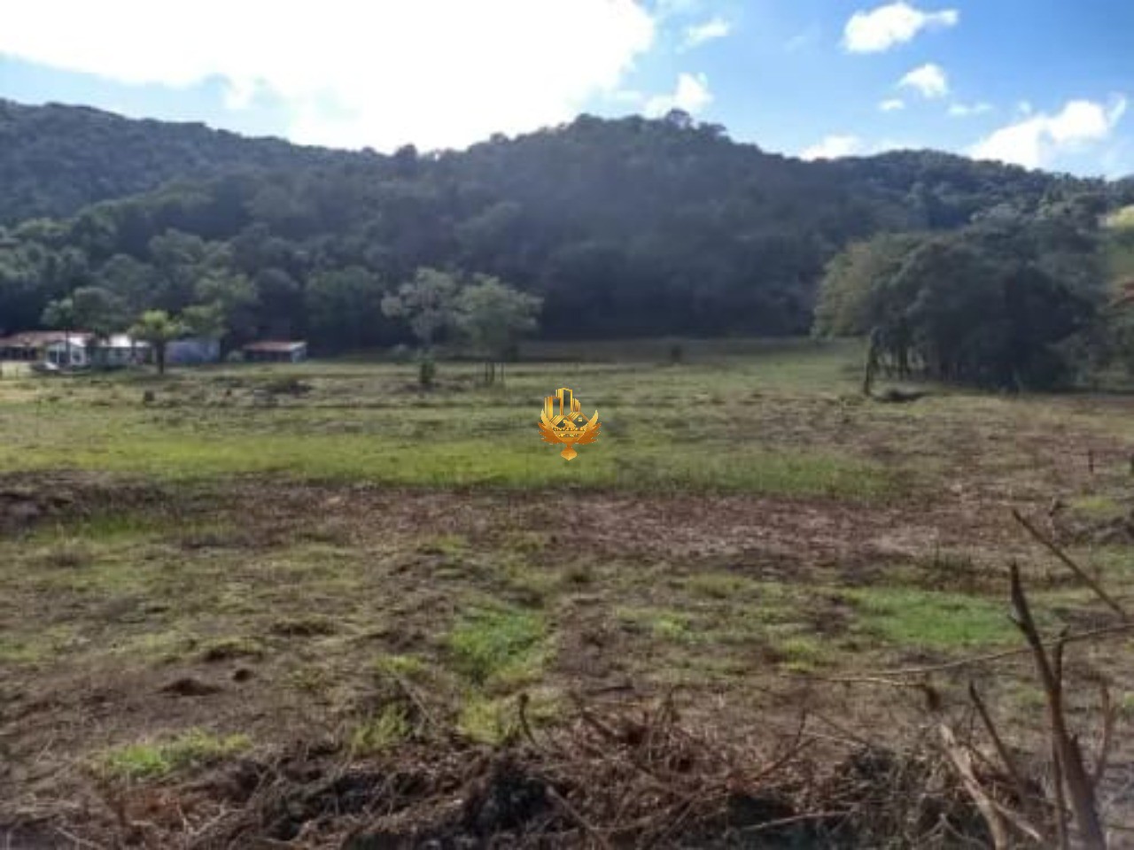 Terreno à venda, 6600m² - Foto 8