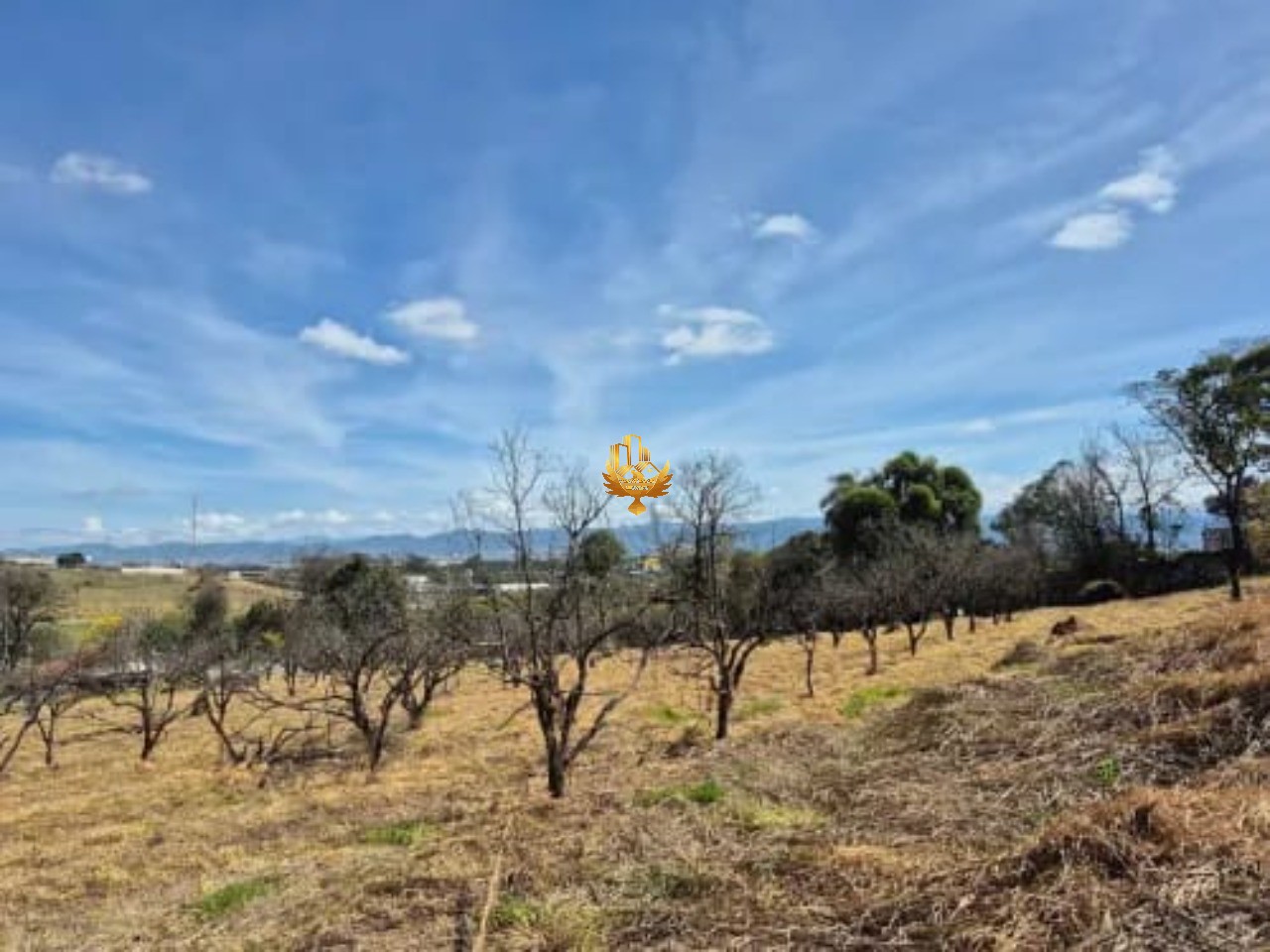 Terreno, 7435 m² - Foto 4