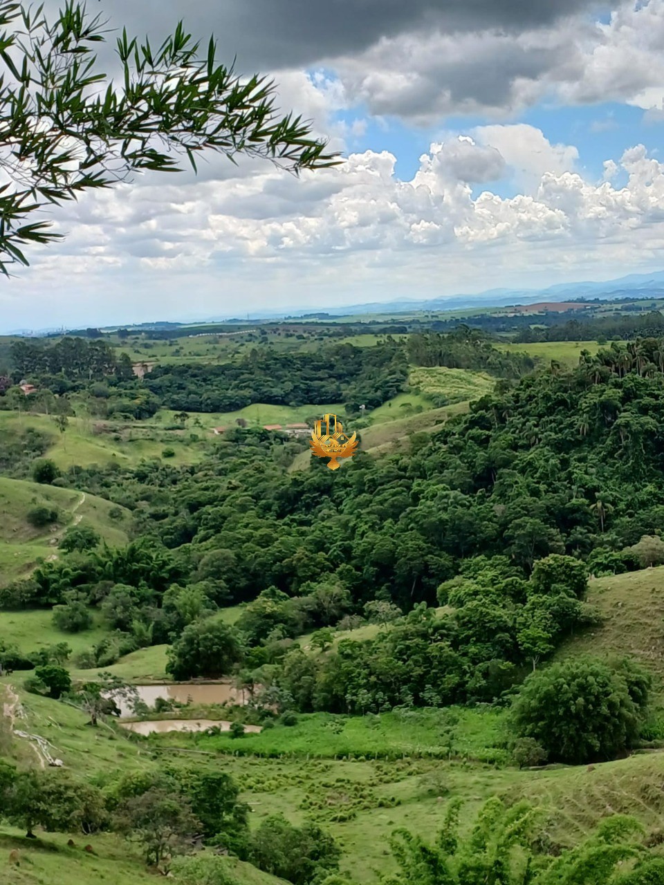 Fazenda, 48 hectares - Foto 9
