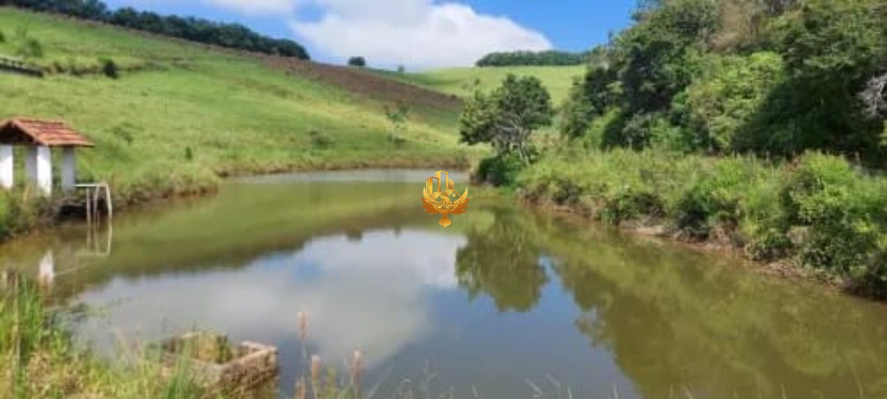 Sítio, 30 hectares - Foto 10