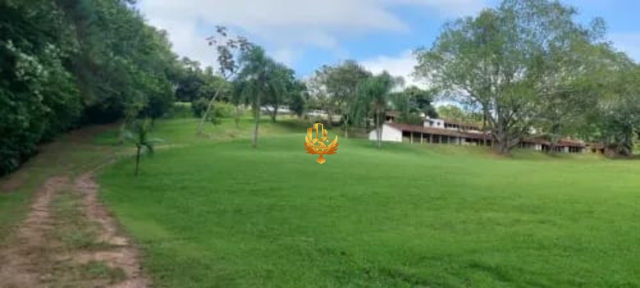 Sítio, 30 hectares - Foto 11